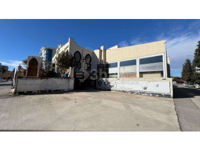 WhatsApp Image 2026-03-11 at 10.56.29.jpeg